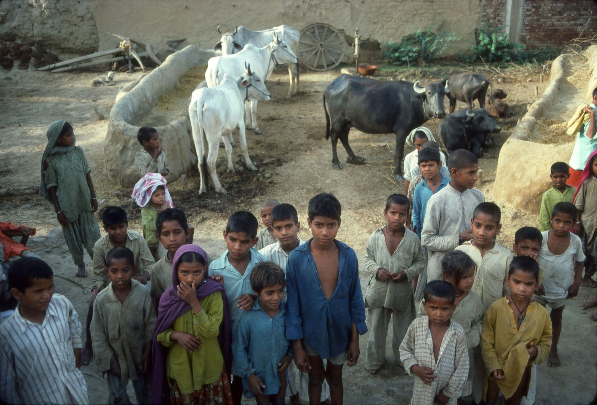 Bambini in India
